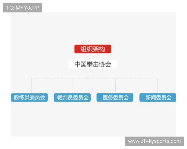 国际拳击职业联盟加强赛场安全与违规惩处机制,国际拳击联合会缩写是什么 国际拳击职业联盟加强赛场安全与违规惩处机制,国际拳击联合会缩写是什么